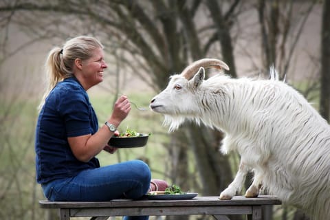 Day, People, Animals, Pets