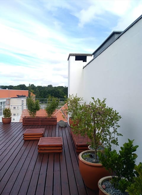 Patio, Balcony/Terrace, Balcony/Terrace