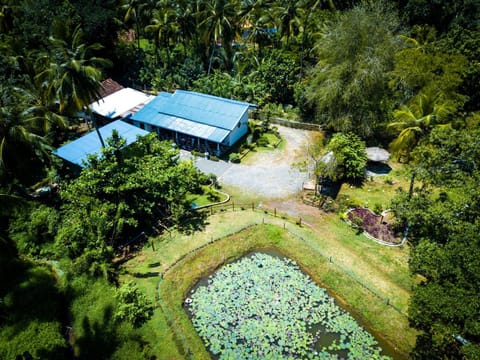 Natural landscape, Bird's eye view, Garden, Garden view