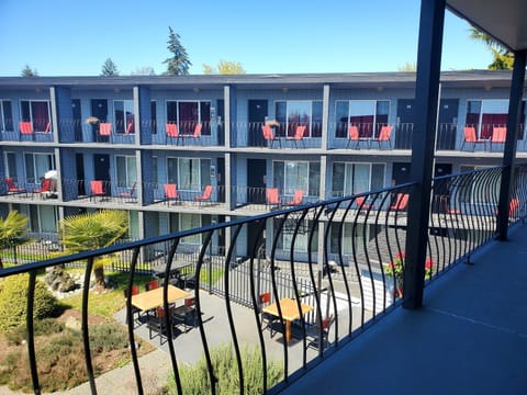 Property building, Patio