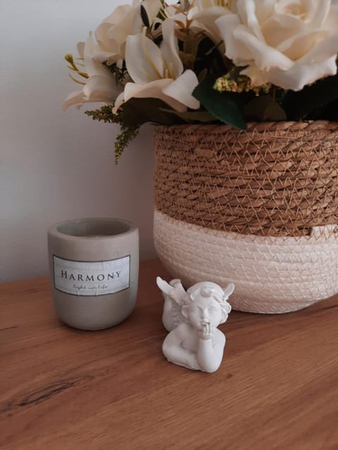 Stan na dan DUNJA 1 Apartment in Vojvodina