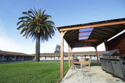 Day, BBQ facilities