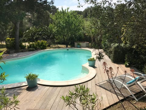Garden, Pool view, Swimming pool, sunbed