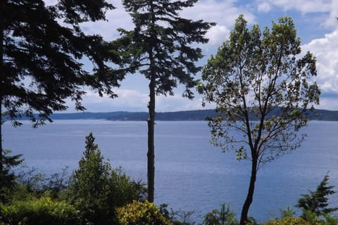 Milagra Guest House House in Lopez Island