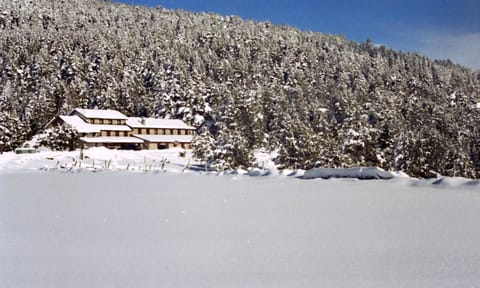 Property building, Off site, Day, Natural landscape, Winter, Mountain view