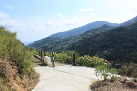 Natural landscape, Hiking