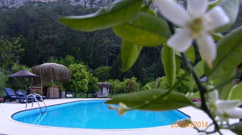 Day, Swimming pool