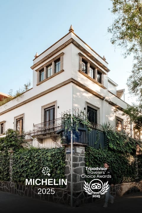 Pug Seal Polanco Anatole France Hotel in Mexico City