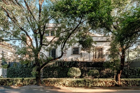 Pug Seal Polanco Anatole France Hotel in Mexico City