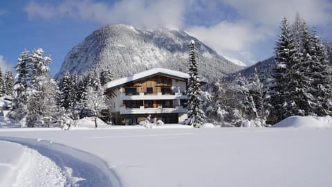 Property building, Natural landscape, Winter, Mountain view