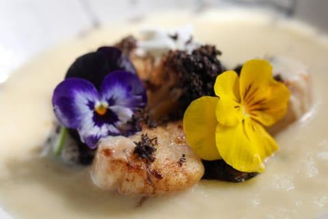 Food and drinks, Food, Dinner