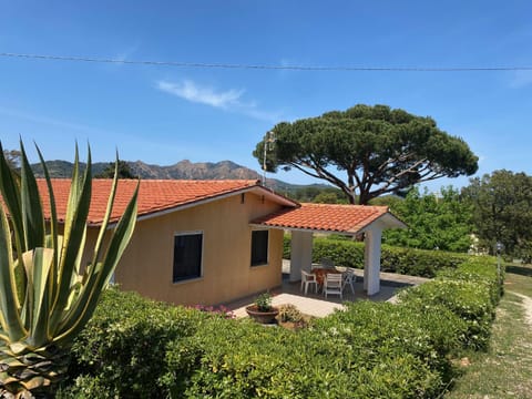 Natural landscape, Garden view