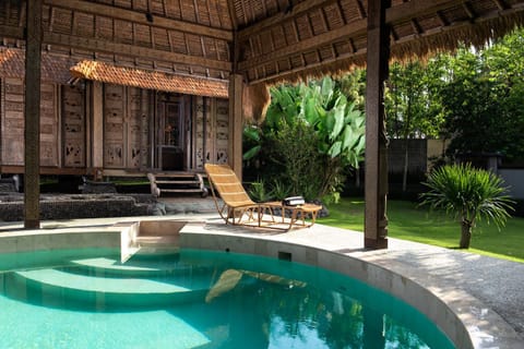 Day, Garden, Swimming pool, Swimming pool