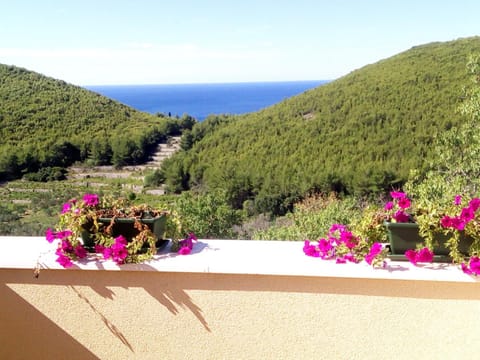 Holiday apartments Maslina Paho Apartment in Dubrovnik-Neretva County