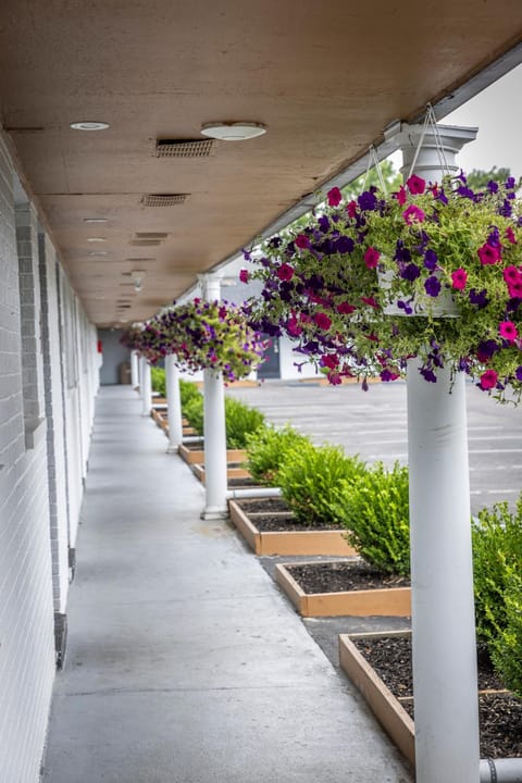 Spring, Day, View (from property/room), Garden view