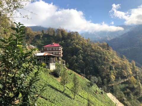 Spring, Natural landscape, Mountain view