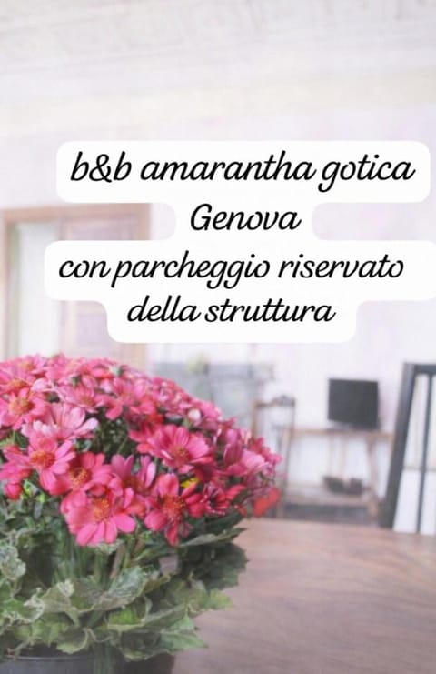 B&B Amarantha Gothica Genoa Bed and Breakfast in Genoa