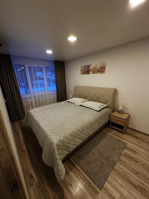 Apartments Victoria Apartment in Lithuania