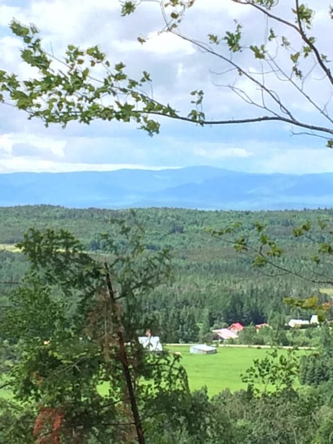 Neighbourhood, Natural landscape, Hiking, Mountain view