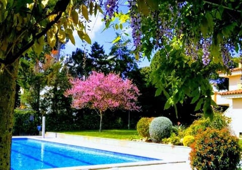 Property building, Spring, Off site, Summer, Garden, View (from property/room), Beach, Garden view, Swimming pool