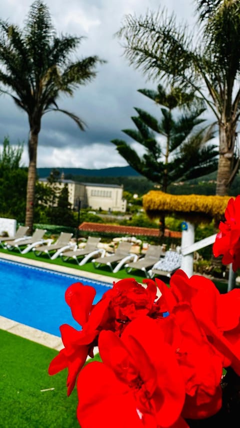Day, Natural landscape, Garden, Garden view, Pool view, Swimming pool, sunbed