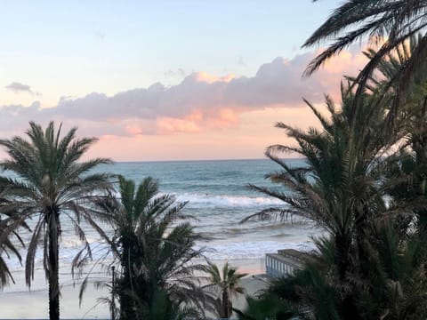 Property view