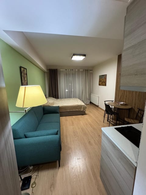 Bed, Living room, Photo of the whole room, Seating area, Bedroom