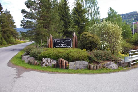 Area and facilities
