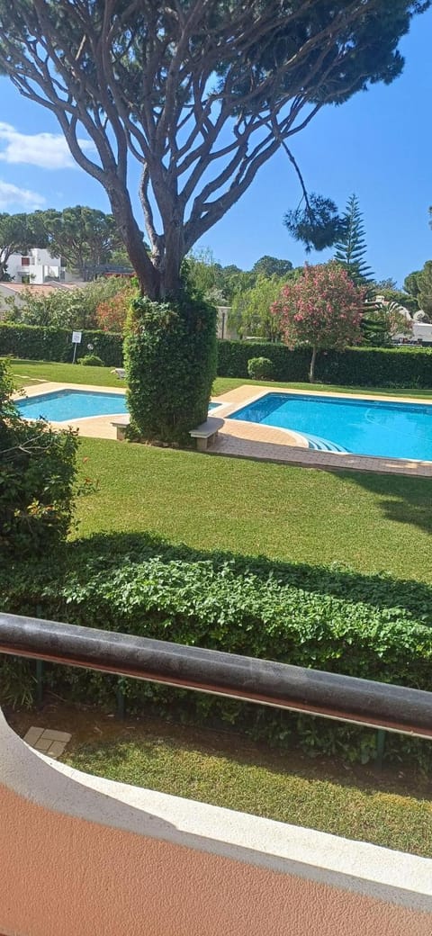 Garden, Garden view, Swimming pool