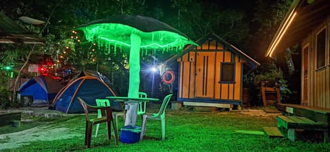 Night, Bedroom, Garden view