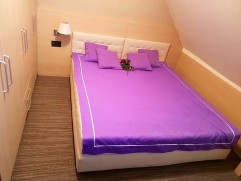 Apartment Superior Centar Apartment in Serbia