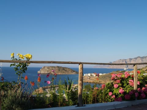 Garden, Sea view