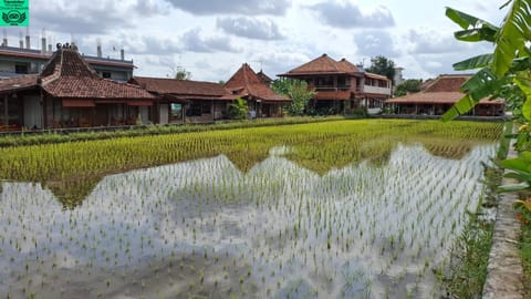Property building, View (from property/room), Garden view