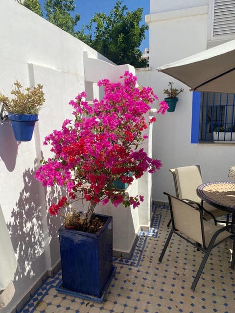 Patio, Balcony/Terrace, Balcony/Terrace