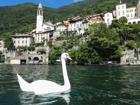 Nearby landmark
