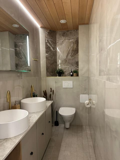 Premium Private Villa Snowest Villa in Rovaniemi