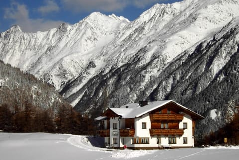 Almhof Apartment in Soelden