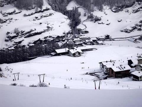 Almhof Apartment in Soelden