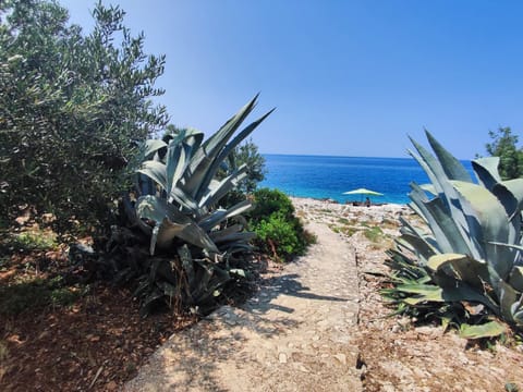 Natural landscape