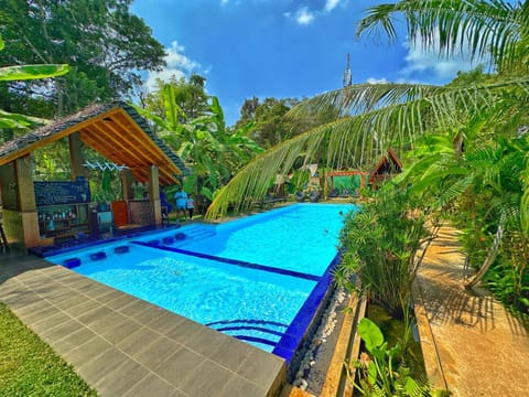 Spring, Day, Natural landscape, Garden, Lounge or bar, Garden view, Pool view, Swimming pool, sunbed