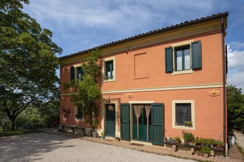 Patio, Facade/entrance