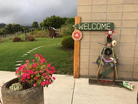 Room with a view Bed and Breakfast in Auckland Region