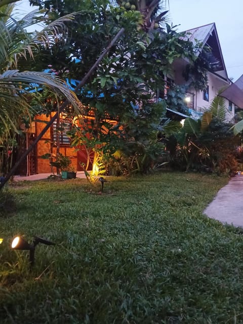 Night, Garden view