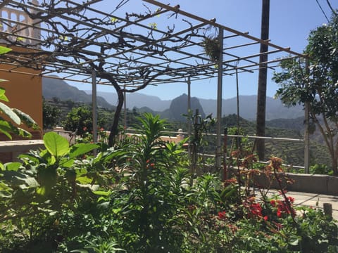 Patio, Natural landscape, Place of worship, Garden, Area and facilities, Area and facilities