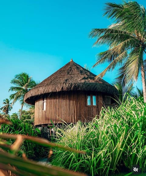 Natural landscape