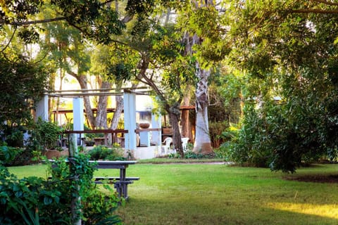 Patio, Day, Garden, Garden view