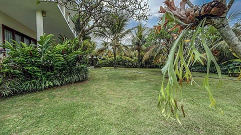 Spring, Day, Natural landscape, Garden, View (from property/room), Garden view