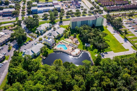Bird's eye view, Swimming pool