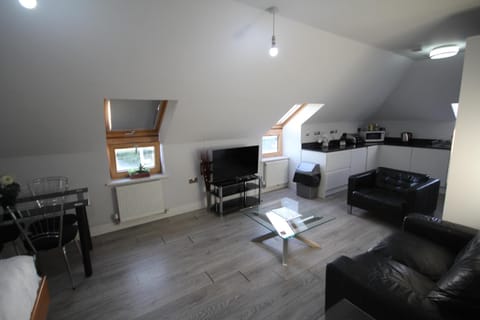 TV and multimedia, Kitchen or kitchenette, Living room, Seating area, Dining area