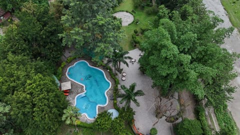 Day, Natural landscape, Bird's eye view, Garden, Garden view, Pool view, Swimming pool